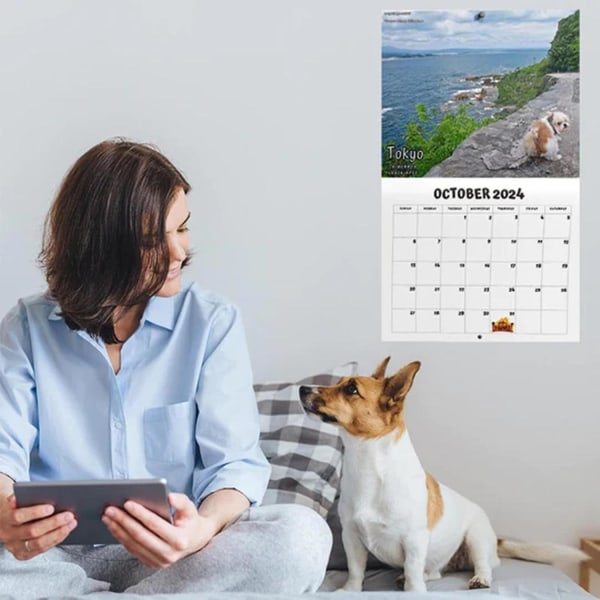 Hundeafskræk på smukke steder 2024 vægkalender, sjov hundeafskræk kalender januar til december 2024, D