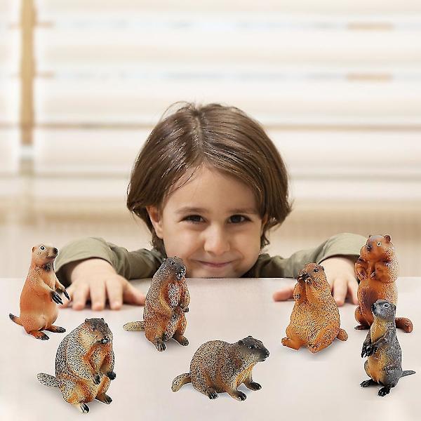 Miniatyr Groundhog Model Ornament Kunstig Groundhog Legetøj Simuleret Groundhog Dyremodel Legetøj Dekorationer Til Miniature Zoo Og Have Sandkasse C