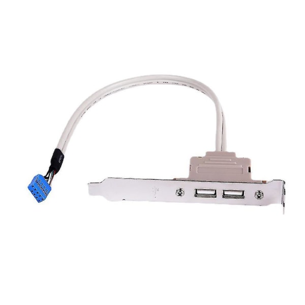 9-pin 2-porte USB 2.0 hun-bagpanelstik Kabeladapter Længde 30 cm