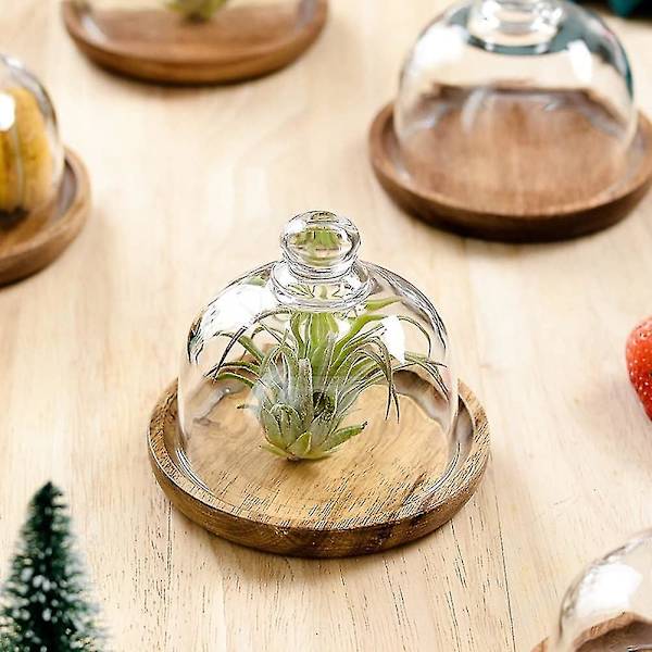 Tårtställ med kupol - Liten genomskinlig glasdessertklocka med serveringsbricka i trä, serveringsplatta, cupcake-display, kupolservering, tårtställ för C