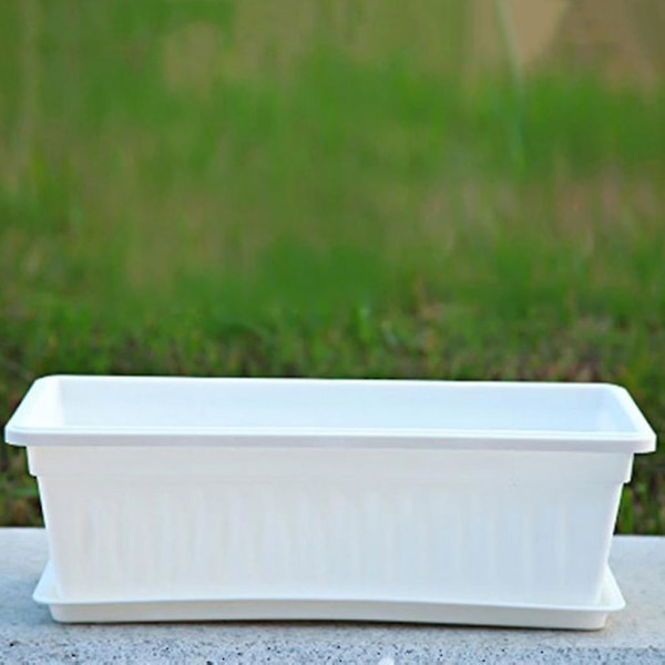 Hartsi suorakaiteen muotoinen mehevä kukkaruukku säilytyslaatikko istutuskone tarjottimella valkoinen