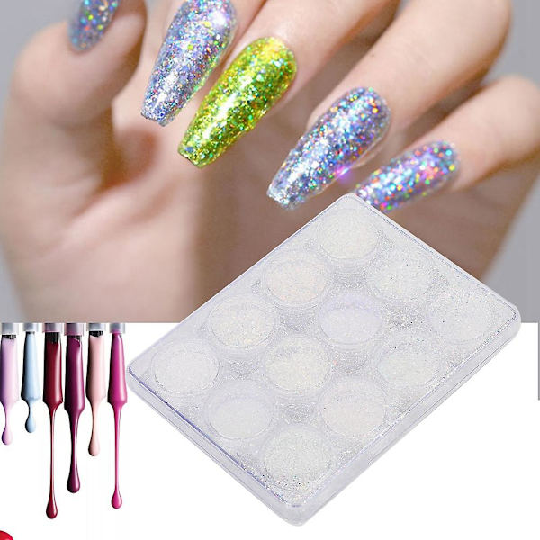 12 färger nagelkonst glitterpulver utsökt nagel DIY dekoration paljetter manikyrverktyg (typ 02)