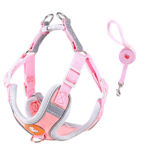 Lemmikkiliivi Säädettävät Hihnat Lemmikkitalutin pink m