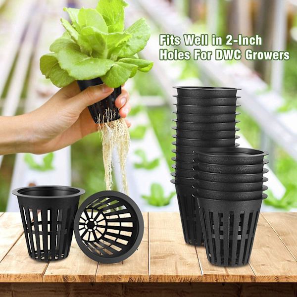60 stk. 2 tommer netkopper med slidset mesh bred læbe filter plante netpot spand kurv til hydroponics