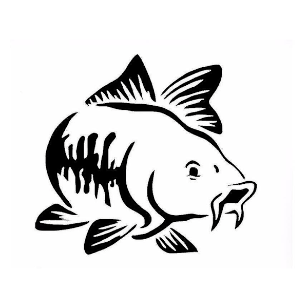 Karp Bilklistre