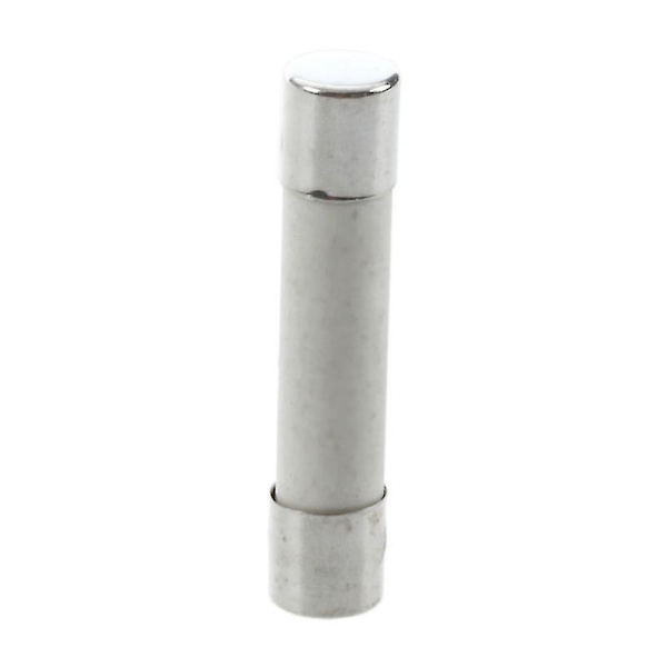 10 stk. AC 250 V 15 A 6 x 30 mm, Højhastigheds Cylindrisk Sikring Rør Keramik Hvid + Sølv