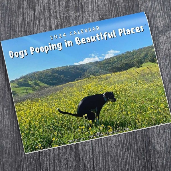 Hundeafskræk på smukke steder 2024 vægkalender, sjov hundeafskræk kalender januar til december 2024, D