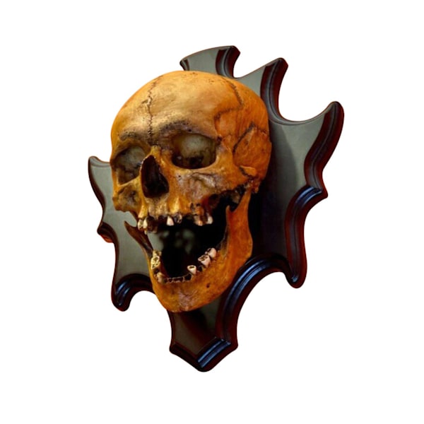 Halloween Hjemmevægge Fine Horror Skelet Natlys Vægdekorationer