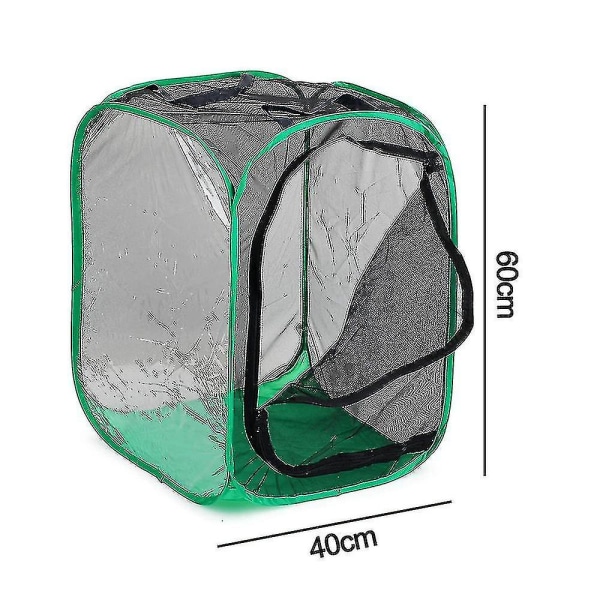 Korkea suuri perhoshabitat-häkki, kokoontaitettava hyönteisten elinympäristöverkko perhosten kasvatukseen