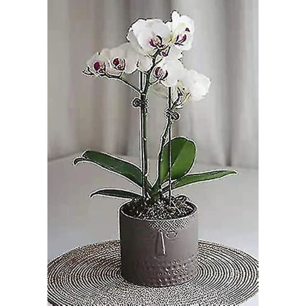 Sett med 2 keramiske blomsterpotter for sukkulenter - ansiktsdesign - for stue, kontor - hvit + svart