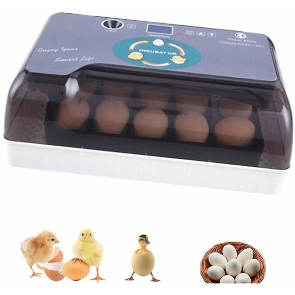 12 Egg Automatisk Inkubator med Digitalt Display, Klekkeri, Automatisk Temperaturkontroll, Kompatibel med Flere Eggstørrelser