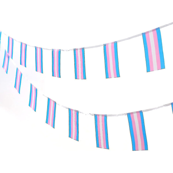 Transgender Rainbow Pride Flag, 50ft/38 stykker Rainbow Holiday Dekoration Vimpel