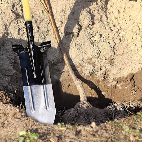 Verktøysett 17,32 tommers grøftespade manganstål spiss spade vanningshageverktøy for graving