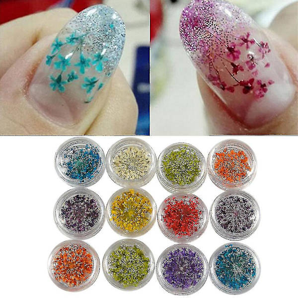 12 Färger 3D Dekoration Riktiga Torra Torkade Blommor för UV Gel Akryl Nagelkonst Tips
