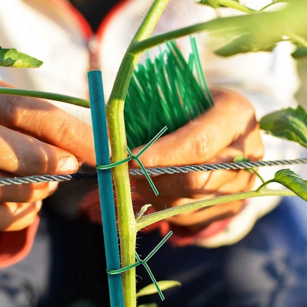 Växtstöd 50 stycken, bambu växtpinne 45 cm, växtpinnar, gröna blompinnar Bambu pinnar med 50 stycken metalliska slipsar, för hemträdgårdsklättring