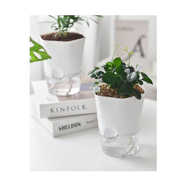 Hydroponisk automatisk vannabsorberende saftig blomsterpotte selvvannende blomsterpotte hydroponisk lat