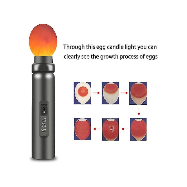 Egg Candler, LED-lys Egg Candler Tester, kylling lommelykt Candeling Light for egg, egg inkubator