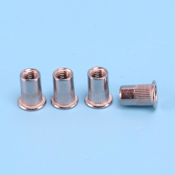 100 stk 304 Rustfritt Stål Nytte-mutter Rivmutter Innsatsmutter M6x15mm