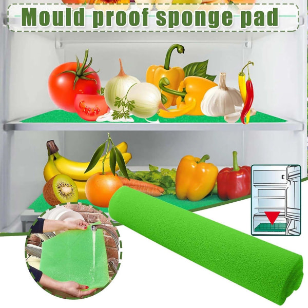 Kjøleskapsfiltersvamp - Anti-mugg kjøleskapsfiltersvamp, muggbestandig frukt og grønnsaker Sp