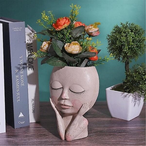 Flickor Ansikte Huvud Blomkruka Succulent Växt