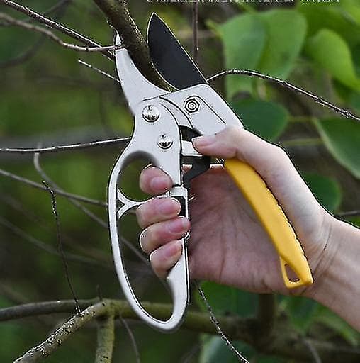 Hekseklipper til buske og grene