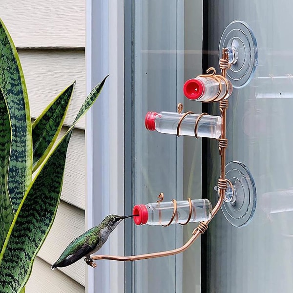 Moderni ikkunaan riippuva Hummingbird syöttölaite imukupilla ulkopuutarhalintujen ruokkimiseen