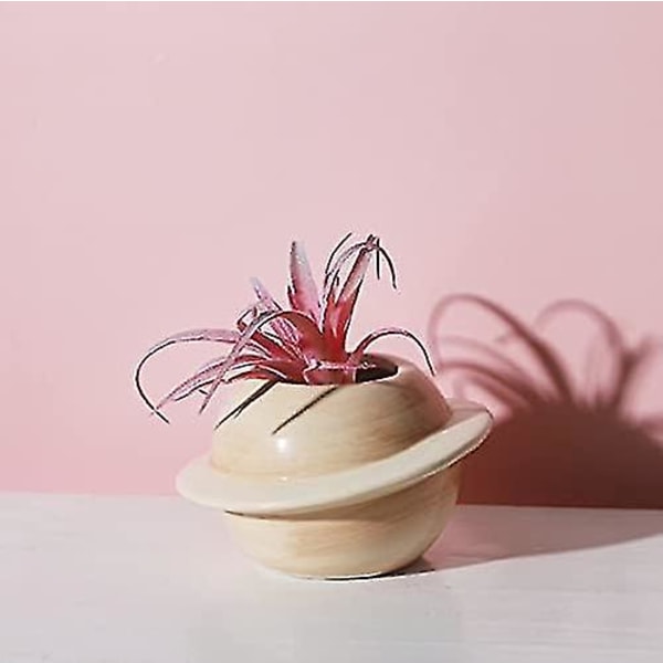 Keramisk blomsterpottesett - egnet for sukkulenter - kreativitet - dekorative blomsterpotter innendørs eller balkong - brun