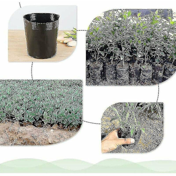 500 stk. Plastik Plantestue Potte Plant Propagation Container 8cmx8cm (farve: B)