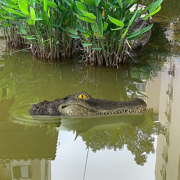 Krokodillehode hagedekorasjon