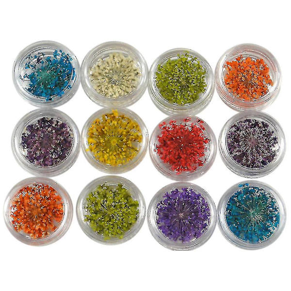 12 Färger 3D Dekoration Riktiga Torra Torkade Blommor för UV Gel Akryl Nagelkonst Tips