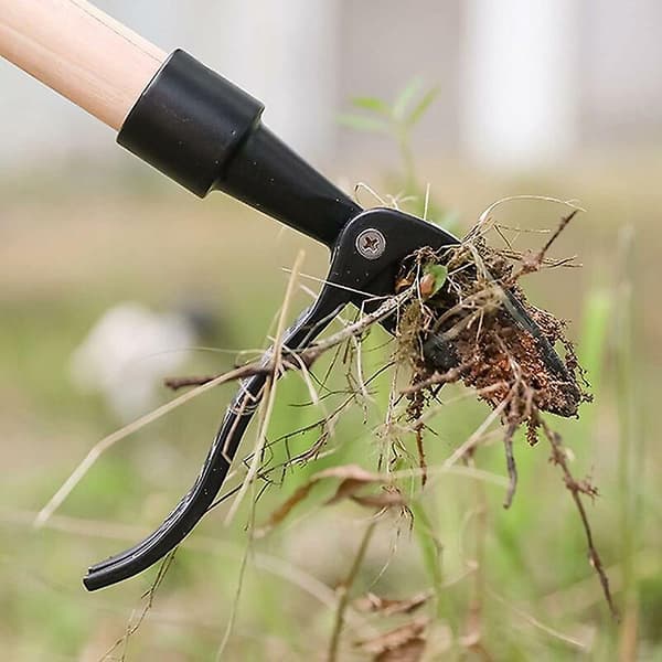 Dsherbeur Manuel 4 Griffes Pour Dsherber Le Jardin
