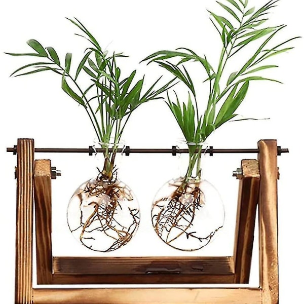 Hydroponics Vase Hanging Vase - Dekorativ treholder