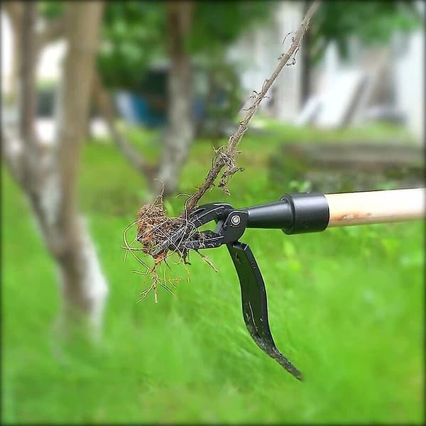 Dsherbeur Manuel 4 Griffes Pour Dsherber Le Jardin