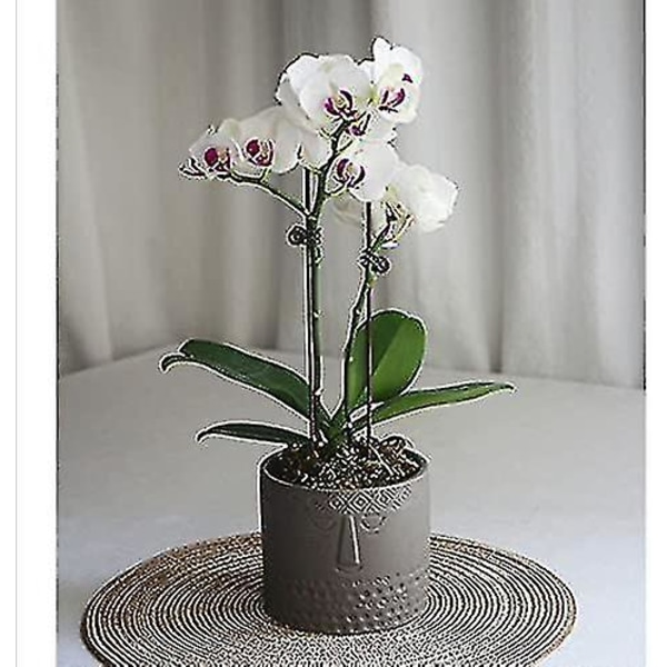 Sæt med 2 keramiske blomsterpotter til sukkulenter - Ansigtsdesign - Til stue, kontor - Hvid + Sort