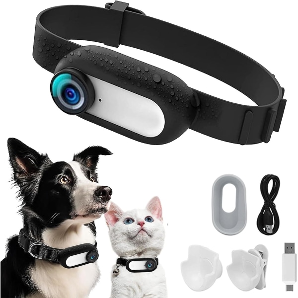 Hd 1080p hundspårhalsband, katthalsbandskamera, inget wifi behövs Katthalsband Sport/actionkamera med videoinspelningar för hundar Katter Present