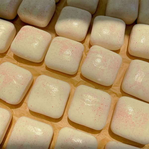 Mini Toast Klemmelegetøj til Sensorisk Stresslindring Stressbold Børn Voksen B