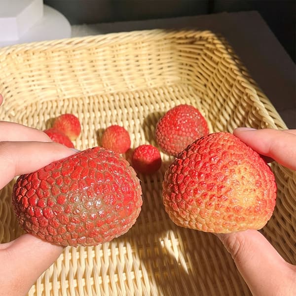 3 st sensorisk leksak Lychee Stressavlastande klämleksak Realistisk Lychee L