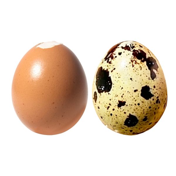 Interaktivt simuleringsæg klemmelegetøj til voksne børnefester Egg