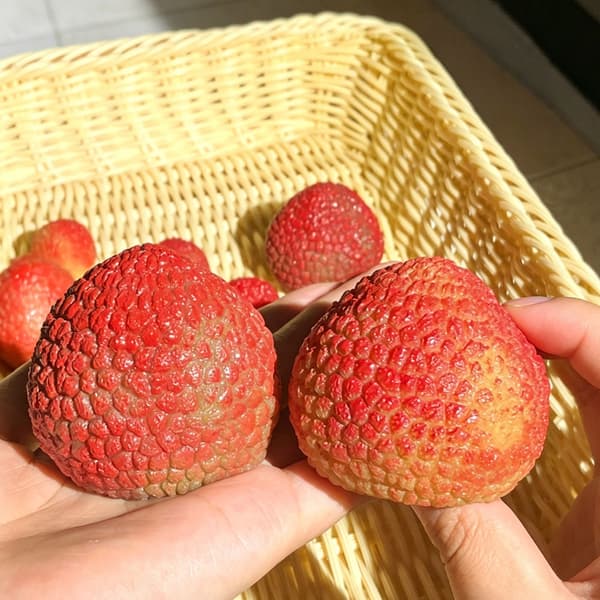 3 st sensorisk leksak Lychee Stressavlastande klämleksak Realistisk Lychee M