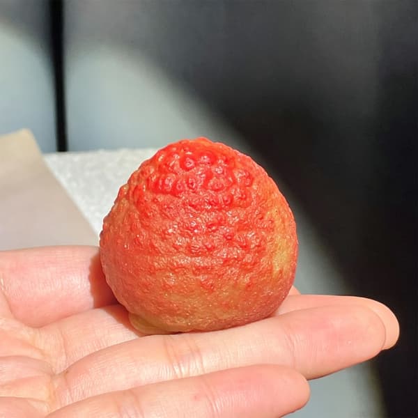 3 st sensorisk leksak Lychee Stressavlastande klämleksak Realistisk Lychee S