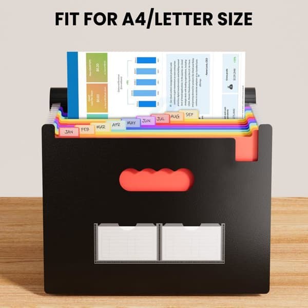 Expanderbar akordeonmapp - GRANDSALEY - 13 fack - A4/Letter - Expanderbar 30 cm - Polypropen