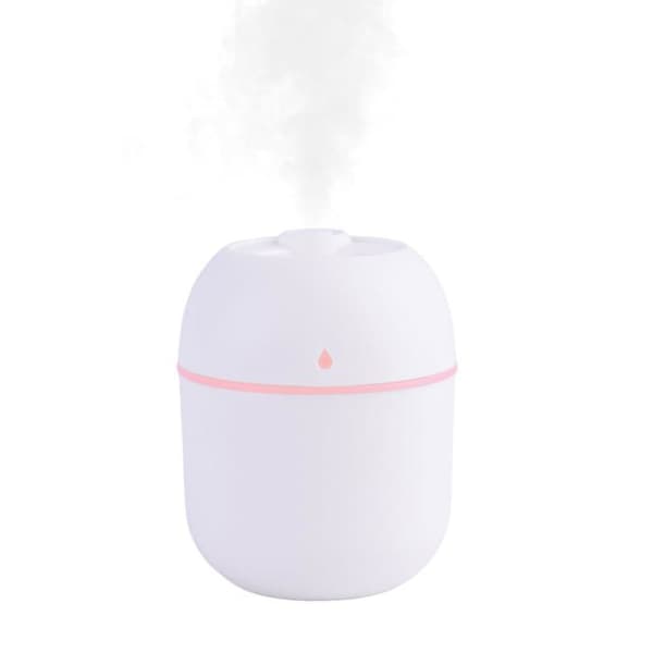 Mini bærbar luftfugter - GRANDSALEY - Mini - 220 ml - USB - Ultra-stille 20 dB Vit