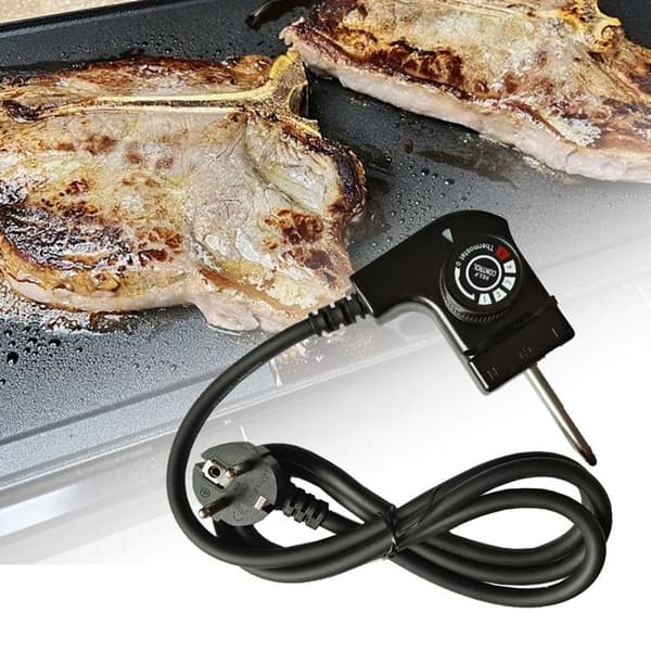 Termostatkabel til plancha - ANDERLEDES - Princess - 2000W - 5 niveauer 0-280°C - Kabel 1 m