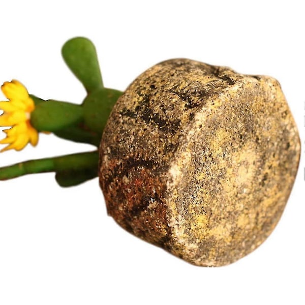 Konstgjord kaktus falsk växt prydnader mini liten krukväxt gul blomma kaktus skrivbordsinredning