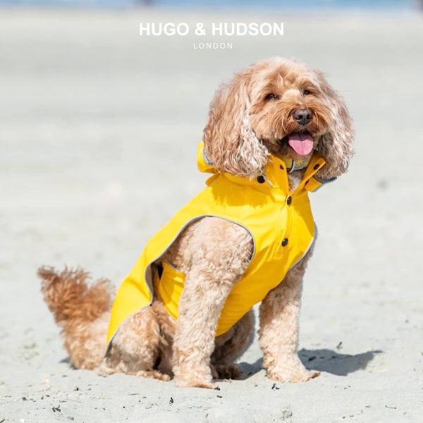 HUGO & HUDSON Vattentät regnjacka för hund, alla