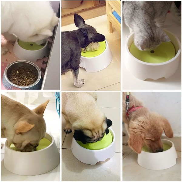 Dog Water Bowl, Non Spill Dog Water Bowl Anti Spil