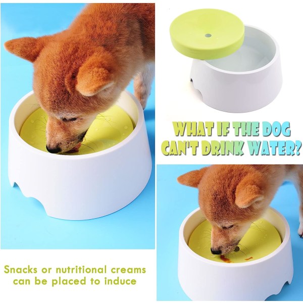 Dog Water Bowl, Non Spill Dog Water Bowl Anti Spil