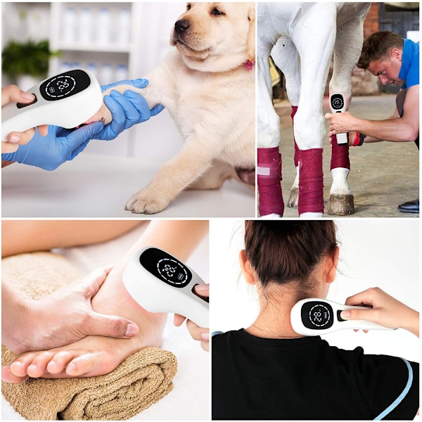 Kall Laser Human/veterinär Enhet Med LED-Display Riktar Sig Direkt Mot Leder Och Muskler För Smärtlindring Infrarött Ljus