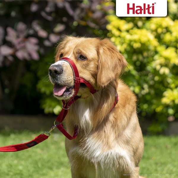 HALTI Halsband Storlek 3 RÖD, Storbritannien bästsäljande hund