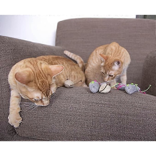 Skitter Critters Kattmynta Kattleksaker Value Pack, 10-pack, Modell:9085, Alla Rasstorlekar